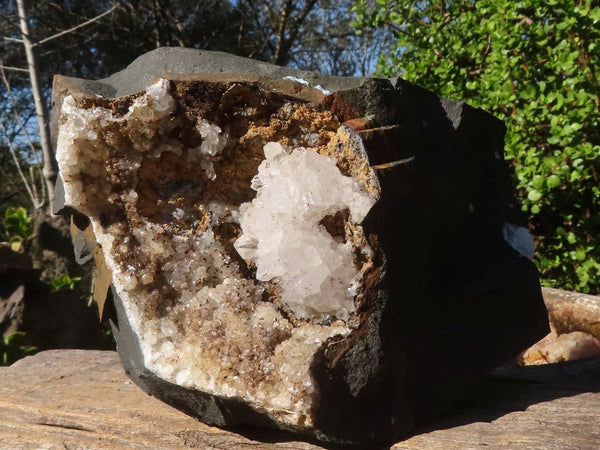Natural Extra Large Quartz Matrix Specimen  x 1 From Brandberg, Namibia - Toprock Gemstones and Minerals 
