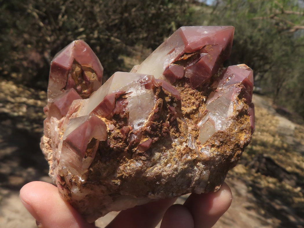 Natural Red Hematoid Phantom Quartz Crystals & Clusters x 5 From Zimbabwe - TopRock