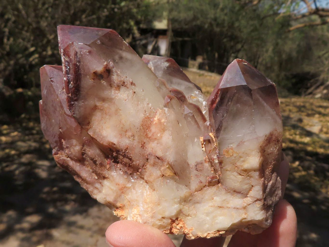 Natural Red Hematoid Phantom Quartz Crystals & Clusters x 5 From Zimbabwe - TopRock