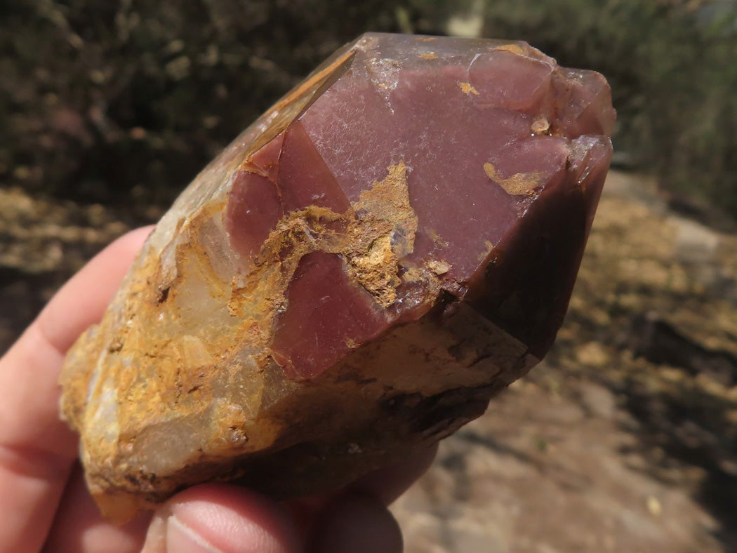 Natural Red Hematoid Phantom Quartz Crystals & Clusters x 5 From Zimbabwe - TopRock
