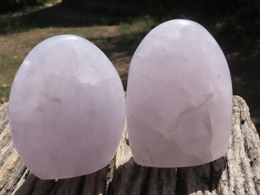 Polished Rare Blue Rose Quartz Standing Free Forms x 4 From Ambatondrazaka, Madagascar - TopRock