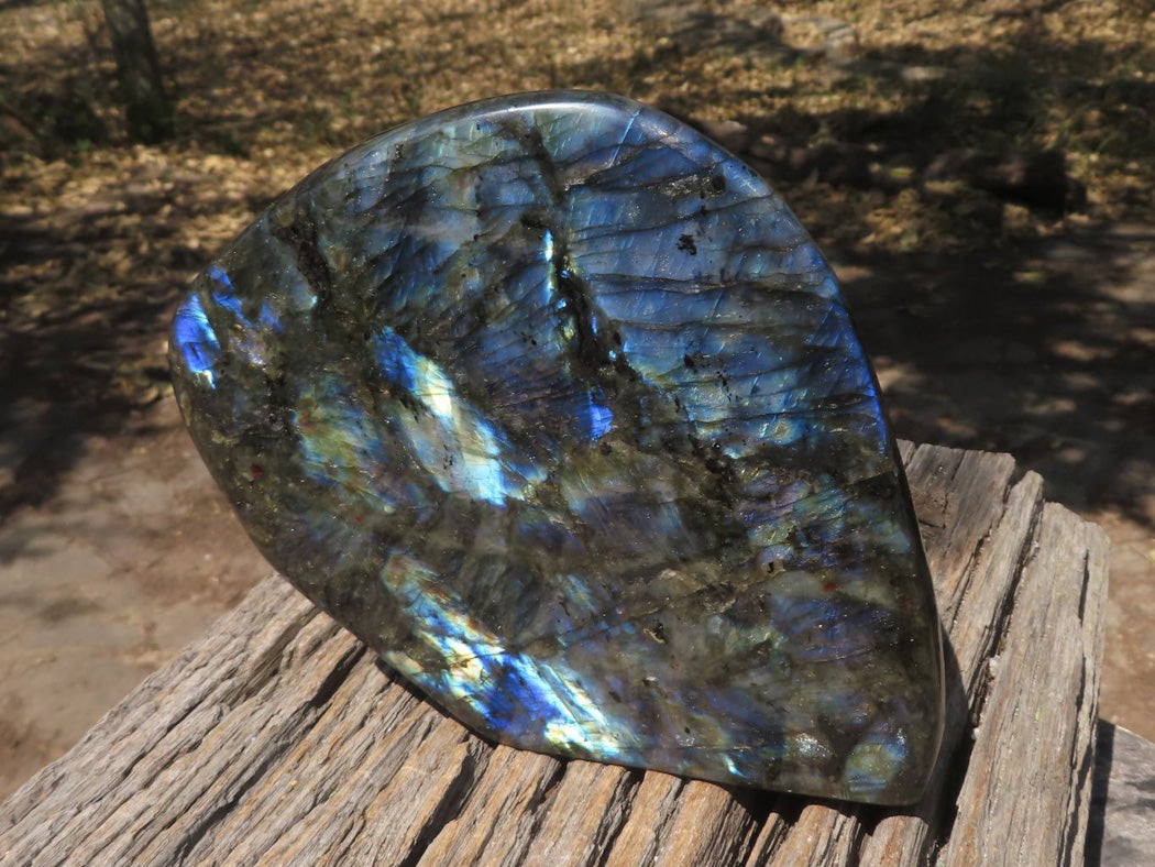 Polished Extra Large Blue & Gold Labradorite Display Piece x 1 From Tulear, Madagascar - TopRock