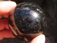 Polished Rare Sparkling Blue Iolite / Water Sapphire Spheres  x 12 From Madagascar - Toprock Gemstones and Minerals