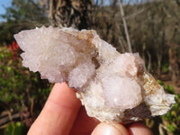 Natural Spirit Amethyst Quartz Clusters x 12 From Boekenhouthoek, South Africa - Toprock Gemstones and Minerals
