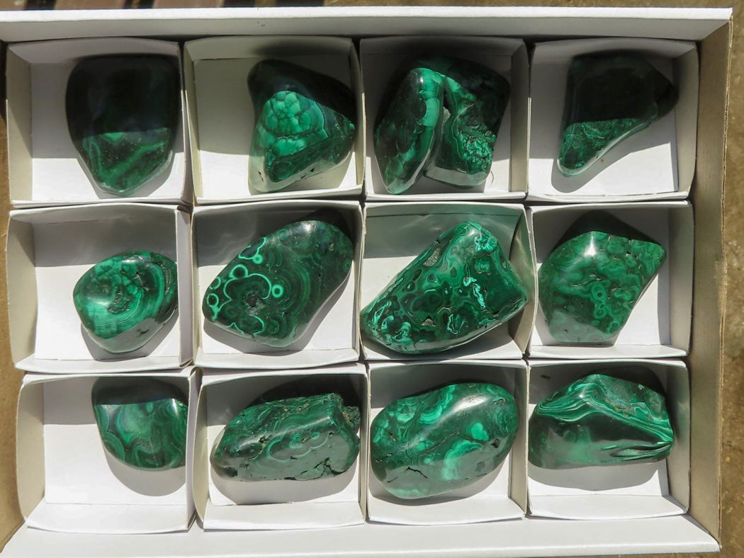 Polished Malachite Free Forms With Stunning Flower & Banding Patterns x 12 From Congo - TopRock
