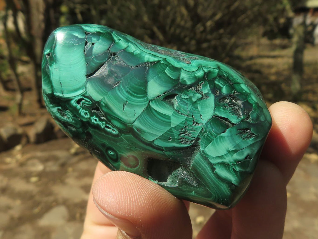 Polished Malachite Free Forms With Stunning Flower & Banding Patterns x 12 From Congo - TopRock