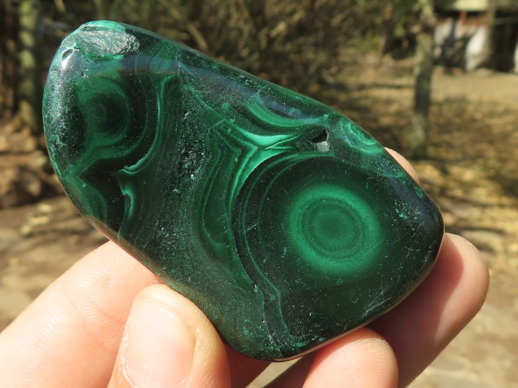 Polished Malachite Free Forms With Stunning Flower & Banding Patterns x 12 From Congo - TopRock