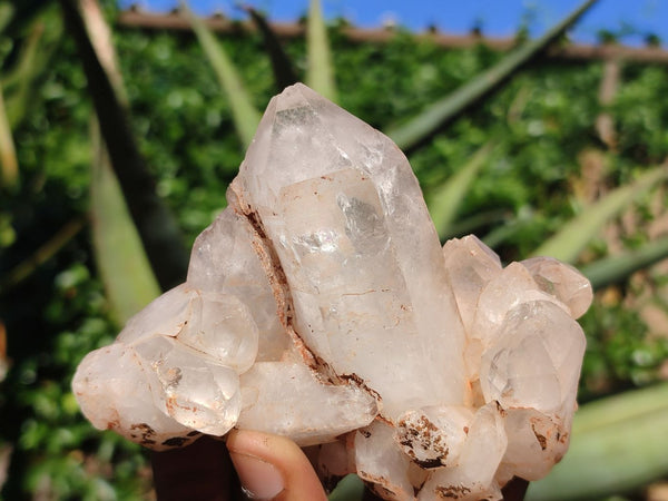 Natural Clear Quartz Crystal Specimens  x 4 From Mpika, Zambia - Toprock Gemstones and Minerals 