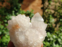 Natural White Spirit Quartz Clusters  x 6 From Boekenhouthoek, South Africa - Toprock Gemstones and Minerals