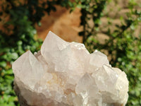 Natural White Spirit Quartz Clusters  x 6 From Boekenhouthoek, South Africa - Toprock Gemstones and Minerals