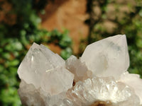 Natural White Spirit Quartz Clusters  x 6 From Boekenhouthoek, South Africa - Toprock Gemstones and Minerals