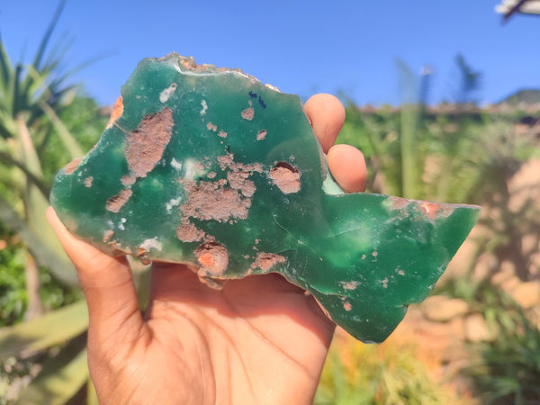 Polished Mtorolite / Emerald Chrysoprase Plates  x 4 From Zimbabwe - Toprock Gemstones and Minerals 