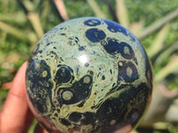 Polished Stromatolite / Kambamba Jasper Spheres  x 2 From Madagascar - Toprock Gemstones and Minerals