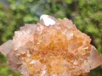 Natural Gorgeous Spirit Amethyst Quartz Clusters  x 6 From Boekenhouthoek, South Africa - Toprock Gemstones and Minerals