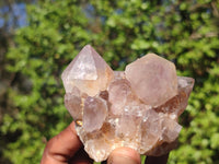 Natural Gorgeous Spirit Amethyst Quartz Clusters  x 6 From Boekenhouthoek, South Africa - Toprock Gemstones and Minerals