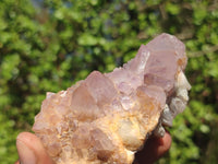 Natural Gorgeous Spirit Amethyst Quartz Clusters  x 6 From Boekenhouthoek, South Africa - Toprock Gemstones and Minerals