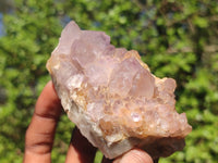 Natural Gorgeous Spirit Amethyst Quartz Clusters  x 6 From Boekenhouthoek, South Africa - Toprock Gemstones and Minerals