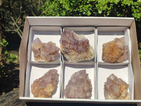 Natural Gorgeous Spirit Amethyst Quartz Clusters  x 6 From Boekenhouthoek, South Africa - Toprock Gemstones and Minerals