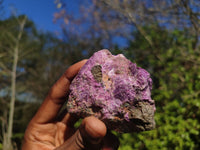 Natural Rough Stichtite & Serpentine Specimens  x 12 From Barberton, South Africa - Toprock Gemstones and Minerals