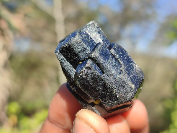 Natural Schorl Black Tourmaline Crystals  x 24 From Zimbabwe - Toprock Gemstones and Minerals 