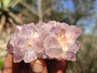 Natural Spirit Amethyst Quartz Clusters  x 12 From Boekenhouthoek, South Africa - Toprock Gemstones and Minerals