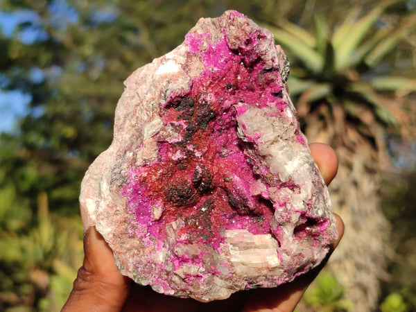 Natural Deep Pink Salrose Cobaltion Dolomite Specimens  x 2 From Kakanda, Congo - Toprock Gemstones and Minerals 