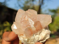 Natural Mixed Spirit Quartz Clusters  x 12 From Boekenhouthoek, South Africa - Toprock Gemstones and Minerals