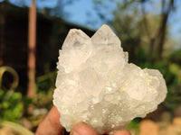 Natural Mixed Spirit Quartz Clusters  x 12 From Boekenhouthoek, South Africa - Toprock Gemstones and Minerals