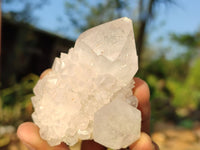 Natural Mixed Spirit Quartz Clusters  x 12 From Boekenhouthoek, South Africa - Toprock Gemstones and Minerals