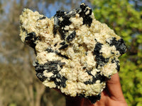 Natural Schorl Black Tourmaline Specimens  x 3 From Erongo, Namibia - Toprock Gemstones and Minerals