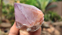 Natural Large Spirit Amethyst Quartz Crystals x 12 From Boekenhouthoek, South Africa - Toprock Gemstones and Minerals