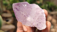 Natural Large Spirit Amethyst Quartz Crystals x 12 From Boekenhouthoek, South Africa - Toprock Gemstones and Minerals