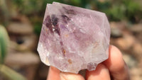Natural Large Spirit Amethyst Quartz Crystals x 12 From Boekenhouthoek, South Africa - Toprock Gemstones and Minerals