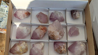 Natural Large Spirit Amethyst Quartz Crystals x 12 From Boekenhouthoek, South Africa - Toprock Gemstones and Minerals