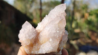 Natural Spirit Amethyst Quartz Crystals x 12 From Boekenhouthoek, South Africa - Toprock Gemstones and Minerals