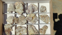 Natural White Spirit Quartz Clusters x 12 From Boekenhouthoek, South Africa - Toprock Gemstones and Minerals