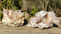 Natural Spirit Amethyst / Ametrine Quartz Clusters x 2 From Boekenhouthoek, South Africa - Toprock Gemstones and Minerals