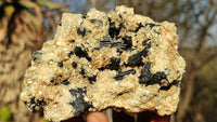Natural Schorl Black Tourmaline Specimens x 4 From Erongo, Namibia - Toprock Gemstones and Minerals