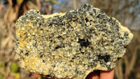 Natural Schorl Black Tourmaline Specimens x 4 From Erongo, Namibia - Toprock Gemstones and Minerals