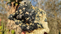Natural Schorl Black Tourmaline Specimens x 4 From Erongo, Namibia - Toprock Gemstones and Minerals