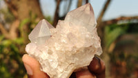 Natural White Cactus Flower Spirit Quartz Specimens x 12 From Boekenhouthoek, South Africa - Toprock Gemstones and Minerals