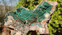 Natural Rare Ball Malachite On Drusy Quartz & Dolomite Specimens x 2 From Kambove, Congo - Toprock Gemstones and Minerals