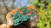 Natural Rare Ball Malachite On Drusy Quartz & Dolomite Specimens x 2 From Kambove, Congo - Toprock Gemstones and Minerals
