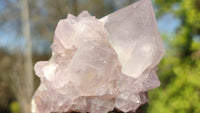 Natural Spirit Cactus Flower Quartz Clusters x 12 From Boekenhouthoek, South Africa - Toprock Gemstones and Minerals