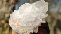 Natural Spirit Cactus Flower Quartz Clusters x 12 From Boekenhouthoek, South Africa - Toprock Gemstones and Minerals