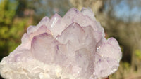 Natural Spirit Amethyst Quartz Clusters x 12 From Boekenhouthoek, South Africa - Toprock Gemstones and Minerals