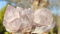 Natural Spirit Amethyst Quartz Clusters x 12 From Boekenhouthoek, South Africa - Toprock Gemstones and Minerals