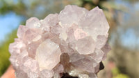 Natural Spirit Amethyst Quartz Clusters x 12 From Boekenhouthoek, South Africa - Toprock Gemstones and Minerals