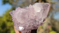 Natural Spirit Amethyst Quartz Clusters x 12 From Boekenhouthoek, South Africa - Toprock Gemstones and Minerals