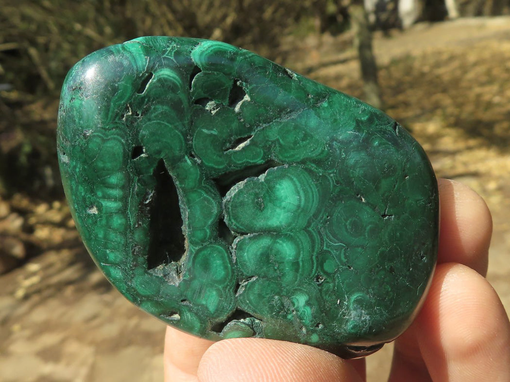 Polished Malachite Free Forms With Stunning Flower & Banding Patterns x 12 From Congo - TopRock